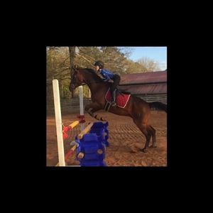 Meet your Posher, Emily michael